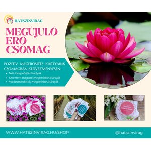 Megújuló Erő Kártya Csomag